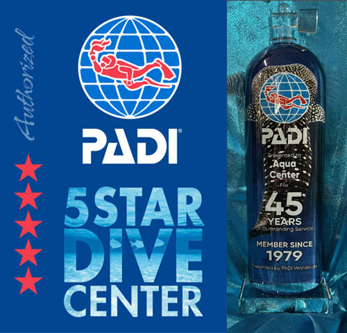 PADI 5 Star Awrd for 40 years of service